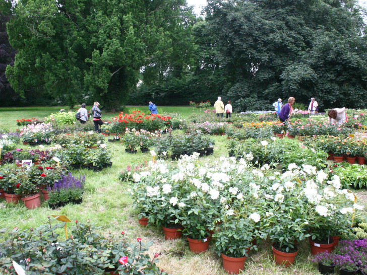 Vom 10. bis 12. Juni findet wieder der Gartenzauber im Park in Halchter statt. Foto: Anke Donner 