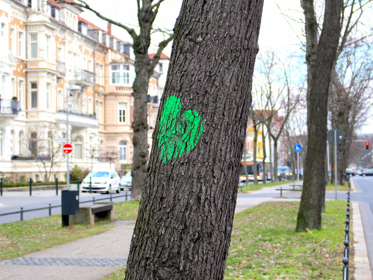 Auch ein grünes Herz kann die kranken Bäume nicht mehr retten. Foto: Nick Wenkel