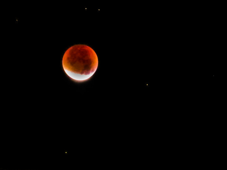 Blutmond über Wolfenbüttel. Foto: Beate Zgonc