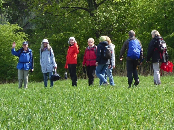 Zur Freude der Wanderer zeigte sich auch mal die Sonne. Foto: Bündnis 90/Die Grünen OV Cremlingen