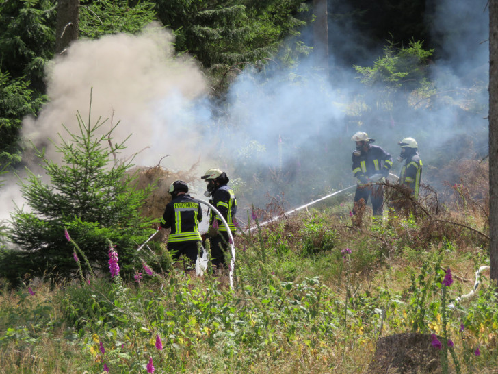 Das Feuer hatte sich bereits in den Waldboden eingefressen. Fotos: Feuerwehr