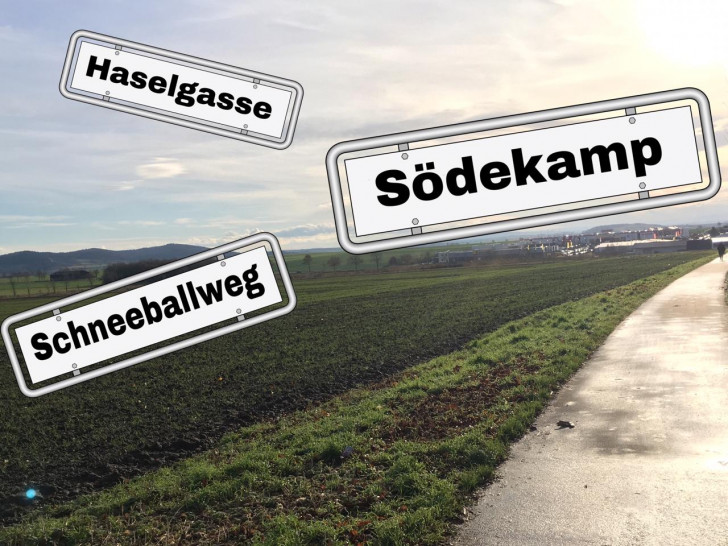 Bei den neuen Straßennamen hat sich die Verwaltung von den Vorschlägen Wolfenbütteler Bürger inspirieren lassen. Fotos: Nick Wenkel