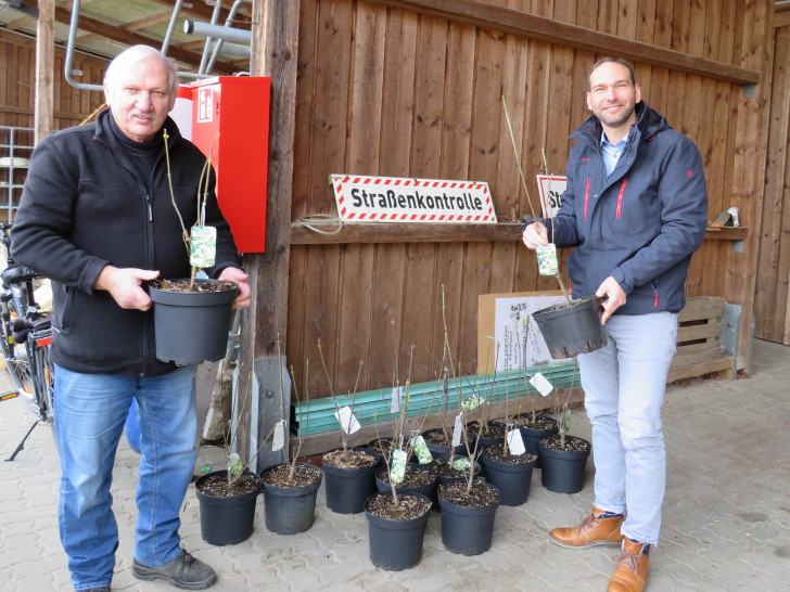 Helmut Bauwe (rechts) und Marco Schulz bei der Begutachtung der Bienenbäume. Foto: Gemeinde Lehre
