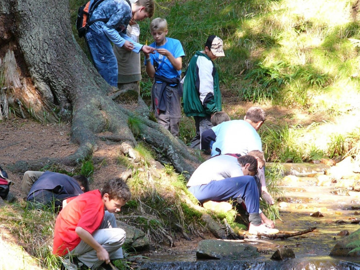 Gewässeruntersuchung mit Jugendlichen im Nationalpark Harz – eine Umweltbildungsaktivität mit Commerzbank-Umweltpraktikanten, Foto Nationalpark Harz