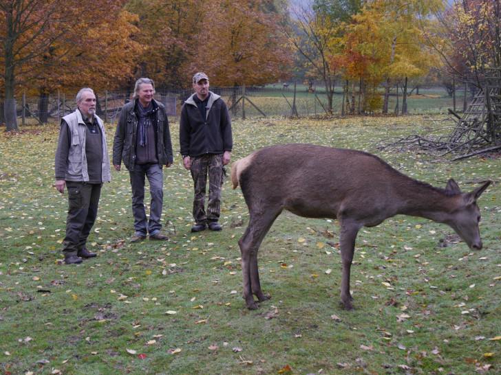 Erfolgreich in Hannover (v.l.n.r.): Dima Kazantsev, Ali Hammouda, Darian Drini, Rob Sarkisian, Mohammad Rezer, Coach Thomas Meyer, Minhajuddin Wahaj und Julian Nelke. Foto: BC72/privat
