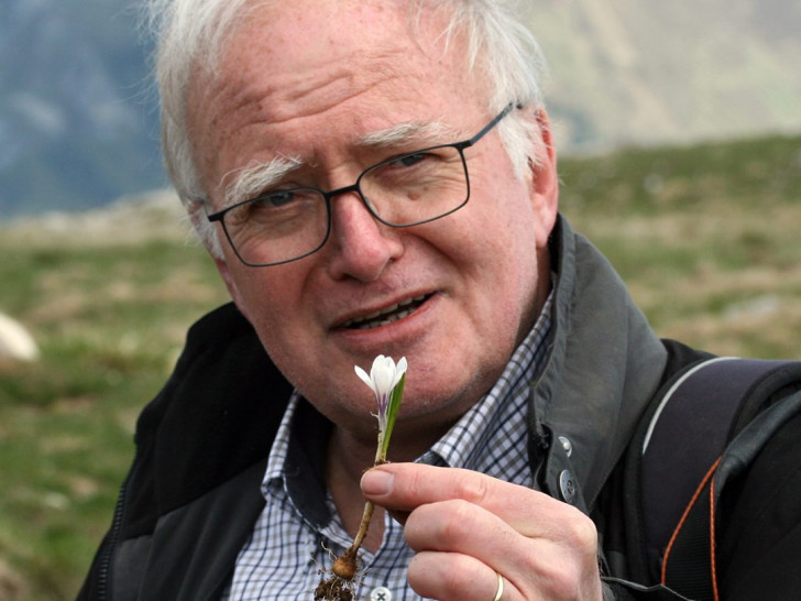 Prof. Dr. Dietmar Brandes. Foto: Christiane Evers/TU Braunschweig