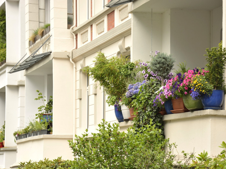 Es grünt so grün … Noch bis zum 19. Juli können Balkone zum BBG-Balkonwettbewerb angemeldet werden.(Foto: Braunschweig Stadtmarketing GmbH)