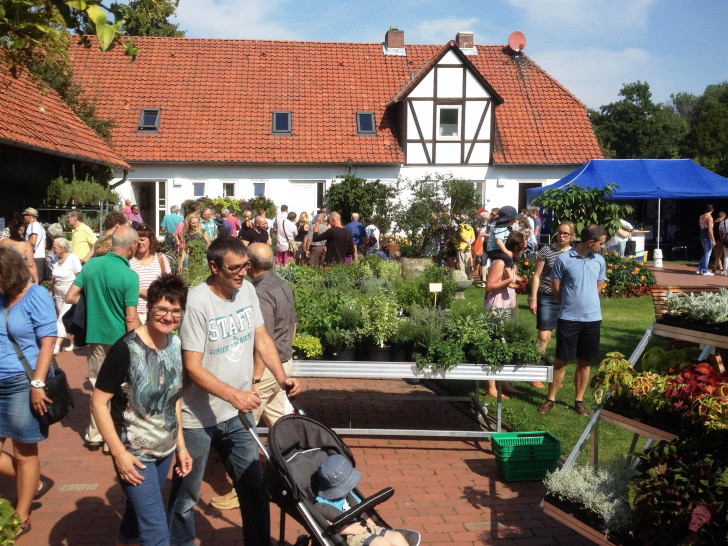 Beim Kräutertag in der Klostergärtnerei Riddagshausen ist für jeden etwas dabei. / Foto Ev. Stiftung Neuerkerode