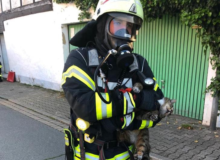 Die Feuerwehr konnte eine Katze aus dem Haus in Sicherheit bringen. Fotos: Erarslan