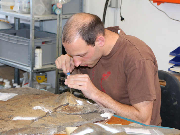 Im Posidonienschiefer im Geopunkt Schandelah bei Braunschweig, wurde ein Ichthyosaurier gefunden. Jetzt wird das Tier präpariert. Dr. Ralf Kosma, Paläontologe, zeigt wie das geht. Foto: Robert Braumann