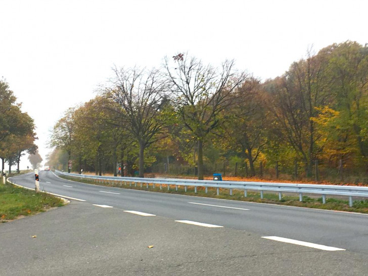 War eine beliebte Haltestelle für LKW-Fahrer: Der Parkplatz am Oderwald. Foto: Nick Wenkel