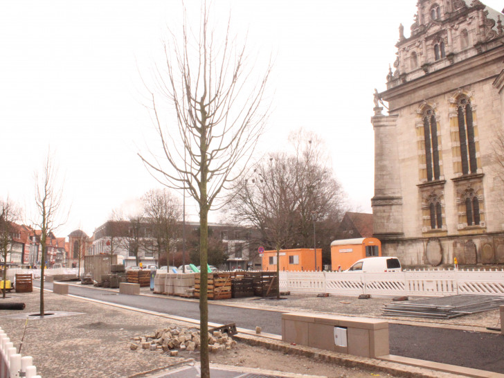 An der Reichsstraße wurden neue Bäume gepflanzt. Foto: Anke Donner 