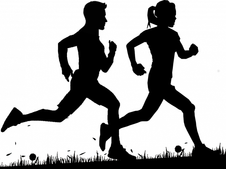 Symbolfoto: Pixabay