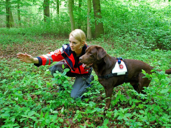 Maren Kudelka mit Labrador Balou von der Johanniter-Rettungshundestaffel aus Braunschweig beim Training im Wald. Foto: Lena Kopetz / Johanniter