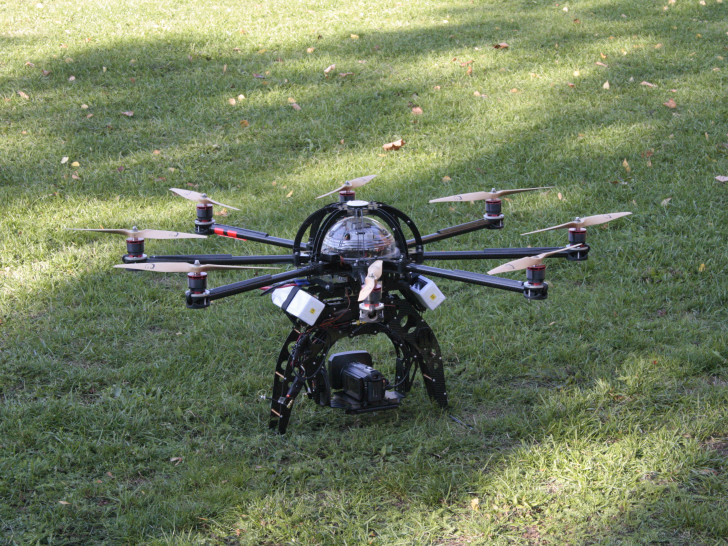 Die Stadt will mit Drohnen die Graugänse verjagen. Symbolfoto: Werner Heise