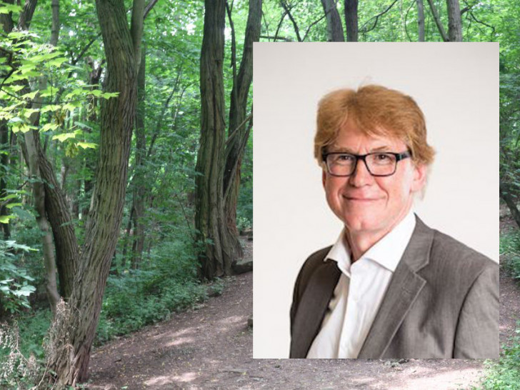 Dr. Rainer Mühlnickel, Vorsitzender des Grünflächenausschusses. Foto: Bündnis 90/Die Grünen Symbolfoto Wald: Robert Braumann