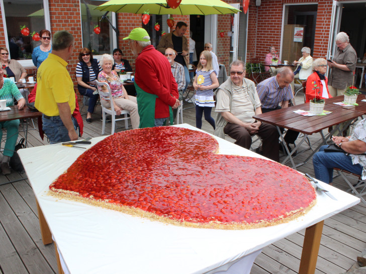 Am 18.Juni 2016 treffen sich Fritz Rubin und Axel Dietsch als Duo „Bärenköpfe“ um 11 Uhr in den Räumen des Hofcafés der Goslarschen Höfe. Diesmal geht es um Erdbeeren. Foto: Anke Donner 
