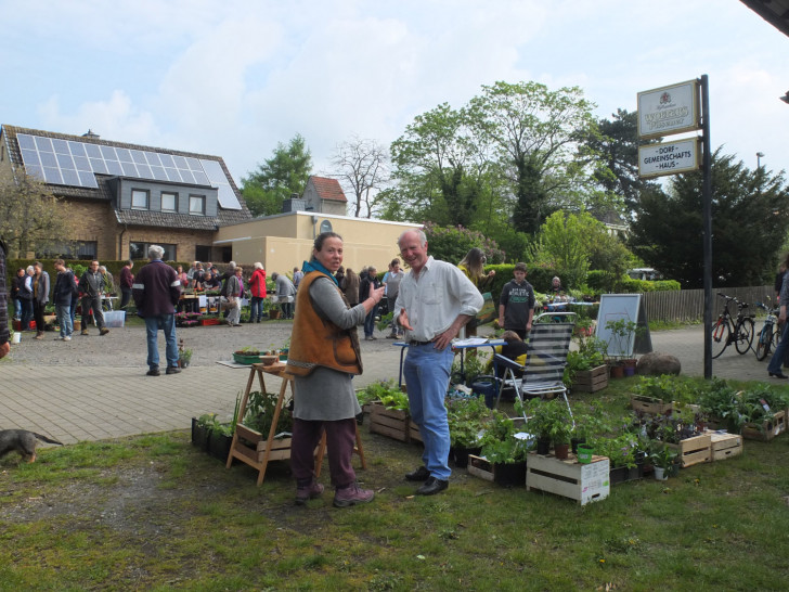 In Gilzum findet wieder die Pflanzenbörse statt.  Foto (C.Wagner):