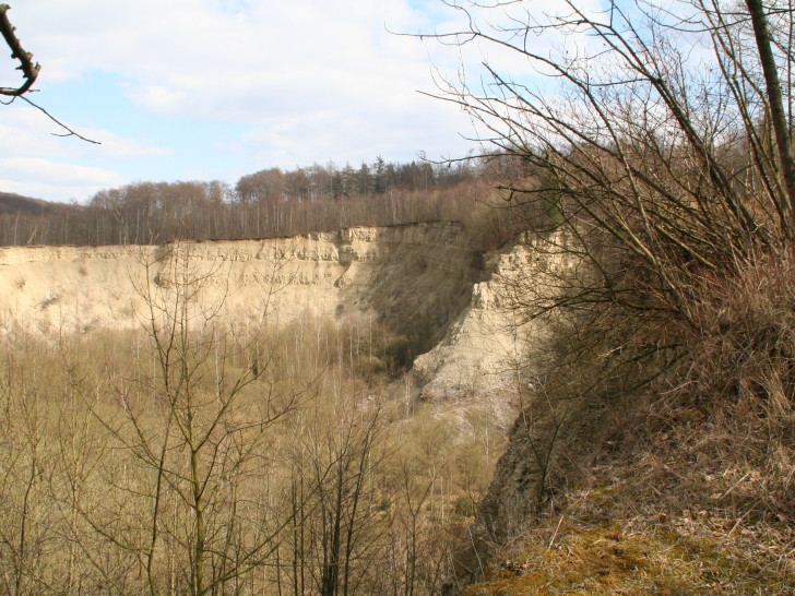 Blick in den Steinbruch bei Destedt. Foto: Diethelm Krause-Hotopp