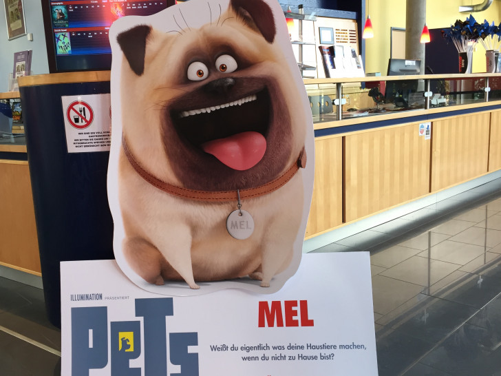 Was machen deine Haustiere, wenn sie alleine sind? Finde es heraus bei "Pets" im Cinestar Wolfenbüttel. Foto: Anke Donner
