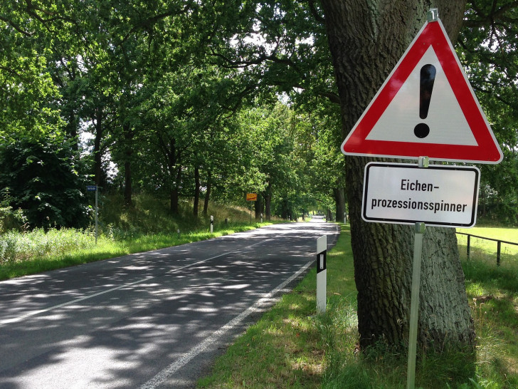 Wolfenbüttel ist bislang verschont geblieben. Symbolfoto: Pixabay
