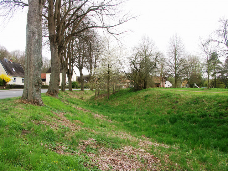 Der mächtige Ringgraben des Hasslerhofes. Fotos: T. Budde