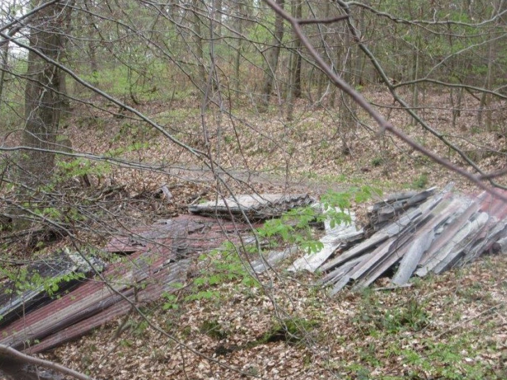 Rund 150 Quadratmeter Asbestzementplatten sind im Lappwald illegal entsorgt worden. Foto: Landkreis Helmstedt