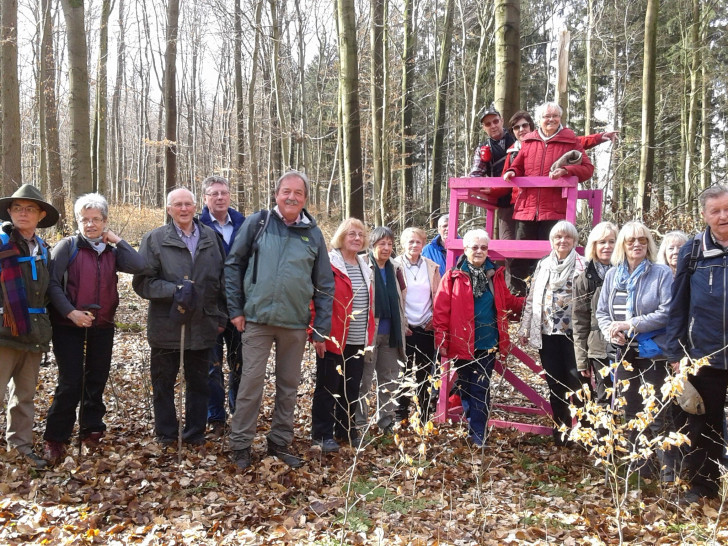 Die Gesundheitswanderer im Oderwald. Fotos: privat