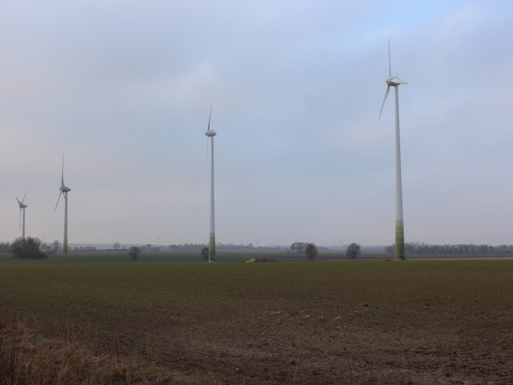 Die Gemeinde Schladen-Werla kann sich nicht an am Windpark beteiligen. Foto: Magdalena Sydow