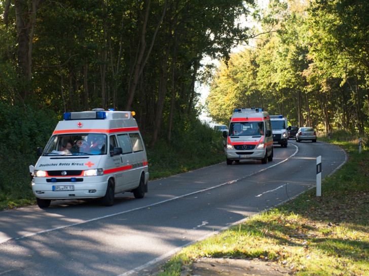 Organisiert und geleitet wurde die Übung von drei Helfern der DRK Bereitschaft Goslar. Foto: M. Pape