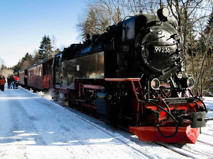 In Wernigerode stiegen alle in die Brockenbahn. Fotos: Hospiz Wolfsburg