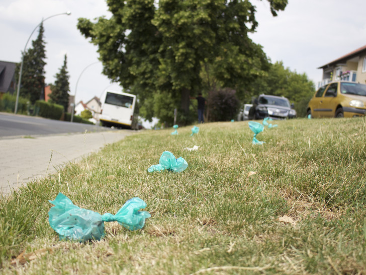 Über 20 Plastiktüten gefüllt mit Hundekot liegen auf einem Grünstreifen an der Lindener Straße. Foto: Max Förster