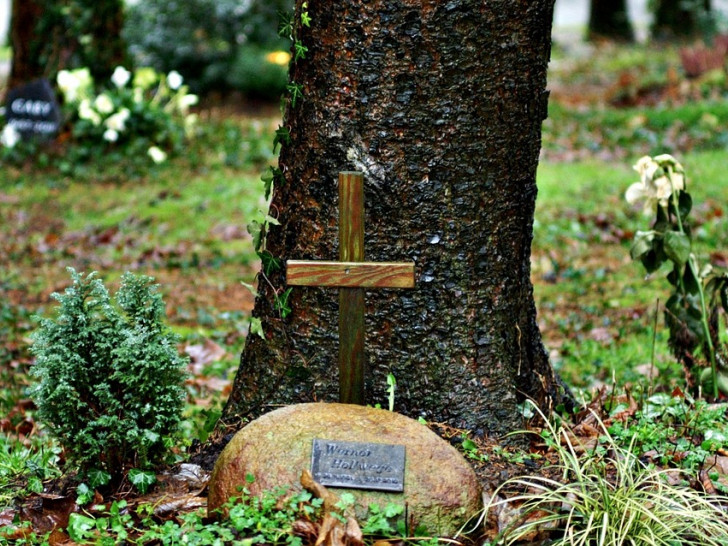 Eine Bestattung unter Bäumen liegt im Trend. Symbolfoto: pixabay