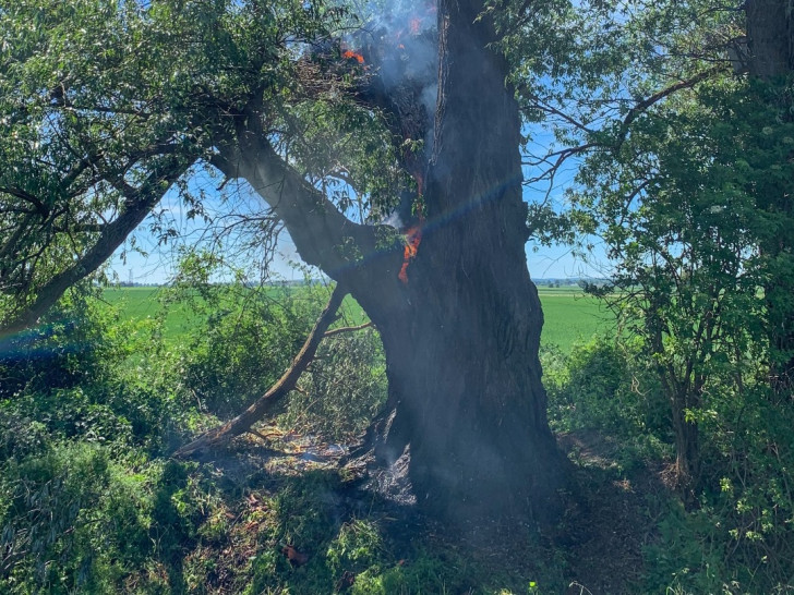 Die Feuerwehr Clauen musste einen brennenden Baum löschen. Fotos: Tobias Paschwitz Gruppenführer FF Clauen