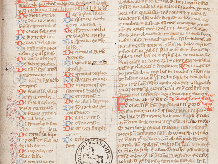 Gilbertus Anglicus: Compendium medicinae, Frankreich, 13. Jahrhundert. Foto: HAB
