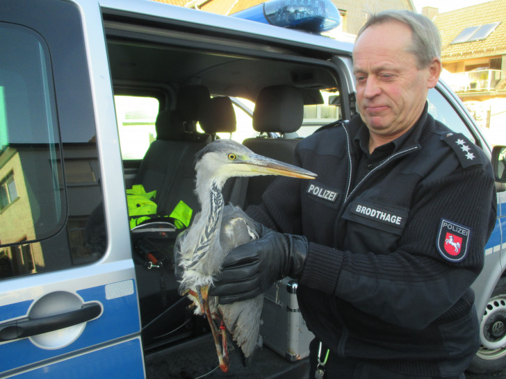 Polizeihauptkommissar Otto Brodthage mit dem verletzten Vogel. Foto: Polizei