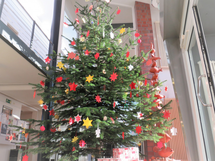 Der Weihnachtsbaum steht im Foyer des Rathauses.