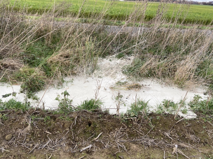 Eine weiße, flüssige Masse wurde in einem Graben an einem Feldweg zum Oder in Ohrum entdeckt.