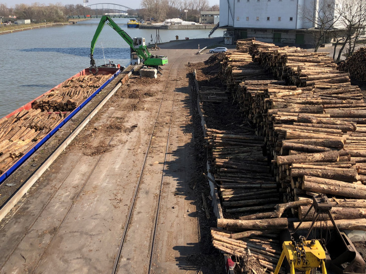 Holzverladung im Hafen Braunschweig.