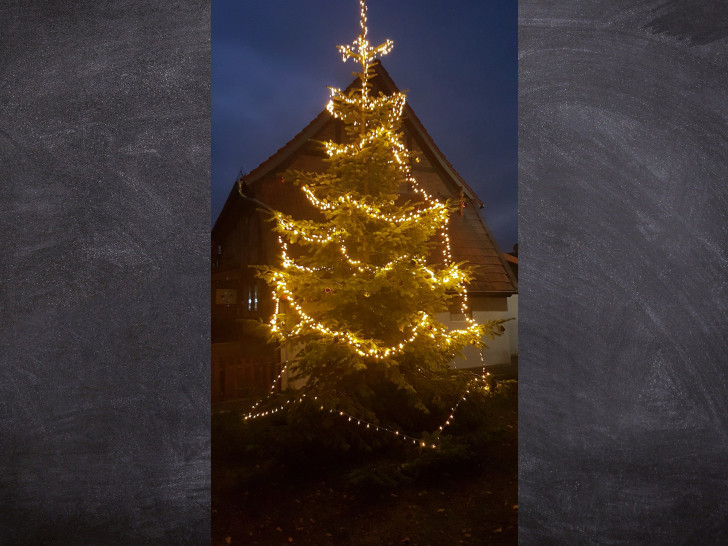 Auf dem Hachumer Dorfplatz wurde ein Weihnachtsbaum aufgestellt.