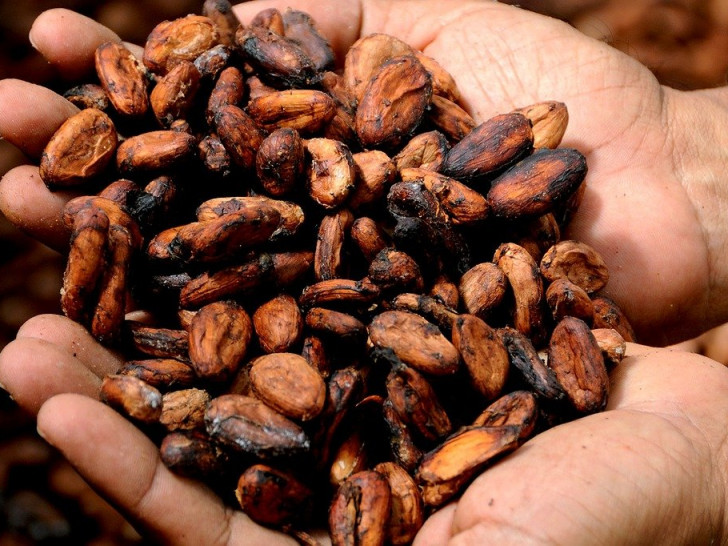 Es sei unerträglich, wenn man in Deutschland Schokolade esse, deren Kakao in Ghana von Kindern gepflückt wurde. Symbolbild