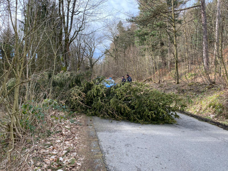 Ein umgestürzter Baum auf dem Waldweg zur Steinbergalm blockierte die Straße.