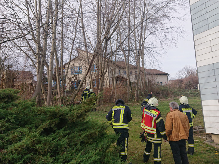 Die Feuerwehr musste drei weitere Bäume kontrolliert zu Fall bringen.
