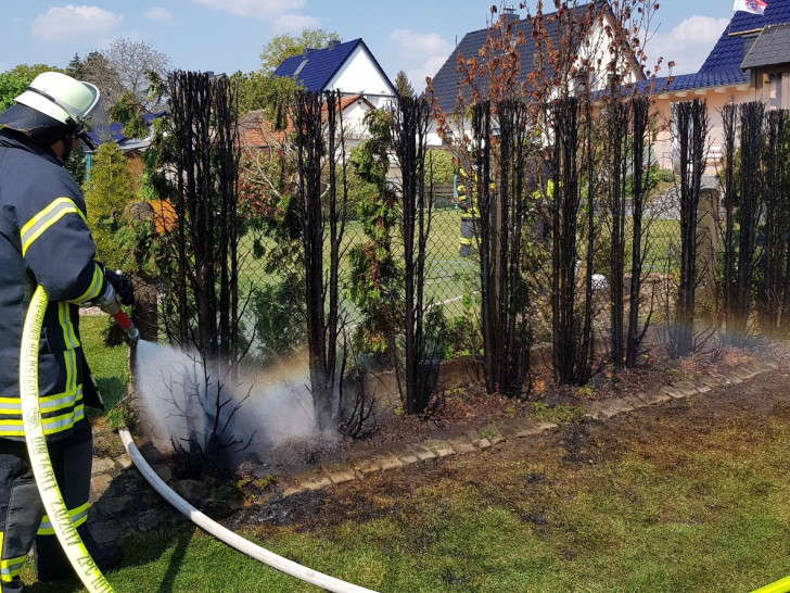 Die Feuerwehr konnte eine Ausbreitung der Flammen verhindern.