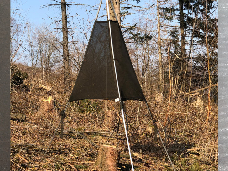 Die „Zelte“ im Goslarer Stadtwald sind keine moderne Kunst sondern ein Fangsystem für Borkenkäfer.