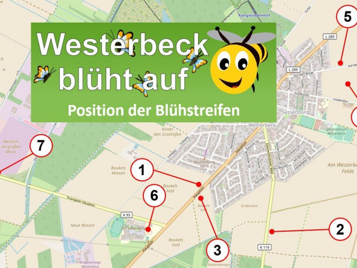 Die Position der Blühstreifen.