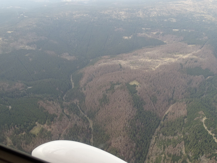 Unterstützung aus der Luft: Die Harzer Wälder werden ab sofort auch aus dem Flugzeug überwacht. Dadurch sollen mögliche Brandherde schnellstmöglich identifiziert werden.