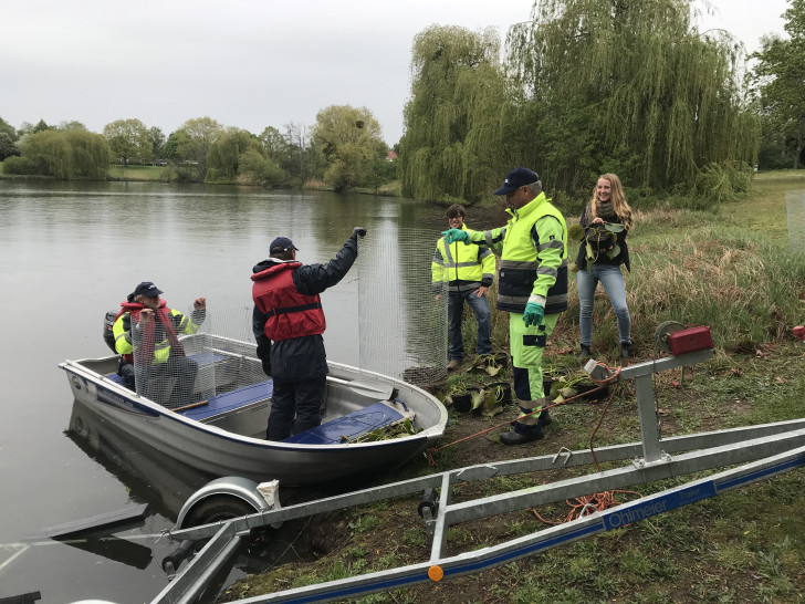  Vorbereitung der Schutzkörbe für das Einsetzen der Teich- und Seerosen in den Mühlenteich mit (von links) Uwe Dobbranz, Jürgen Peter, Nader Said, Adrian Rohne (alle WEB) und Sabine Krüger (Geschäftsbereich Grün).