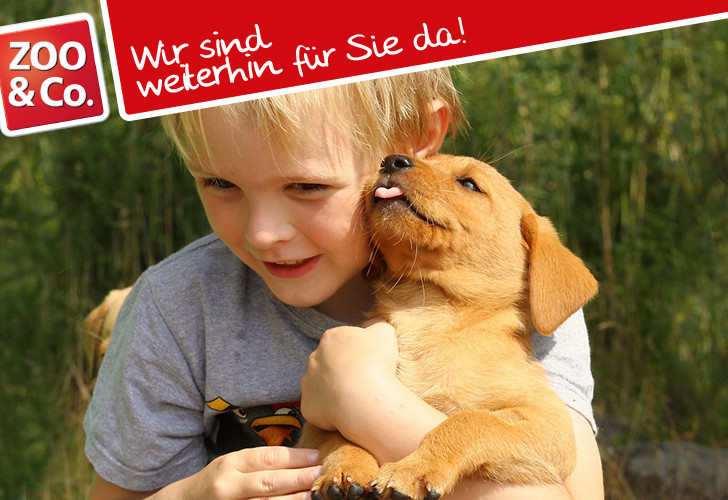 Alle acht Alles für Tiere Märkte in der Region haben wie gewohnt, unter Beachtung der nötigen Hygienemaßnahmen, geöffnet.