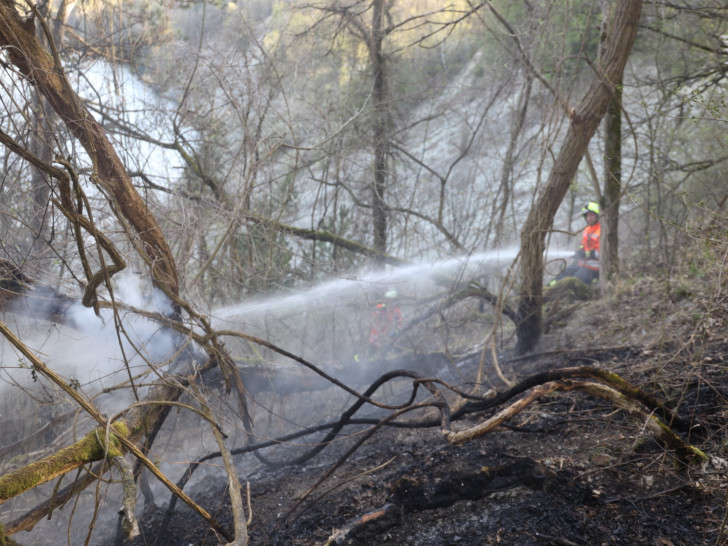 Die Feuerwehr beim Löschen eines Waldbrandes in Salzgitter-Bad in der vergangenen Woche.